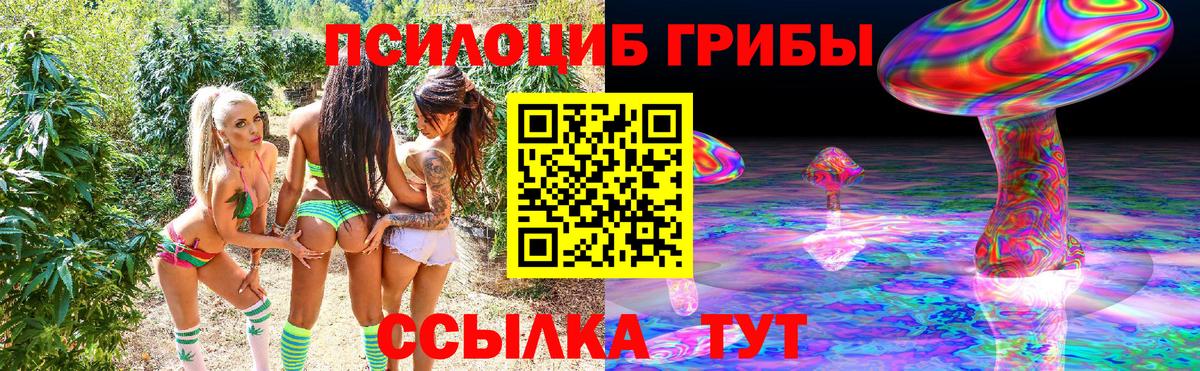 Псилоцибиновые грибы мицелий Заволжье